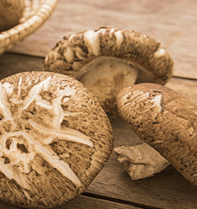 Shiitake Mushrooms